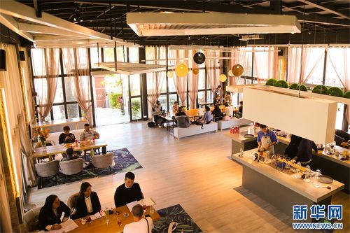 滇西新景致 保山咖啡莊園創(chuàng)新模式，引領(lǐng)農(nóng)文旅融合新浪潮